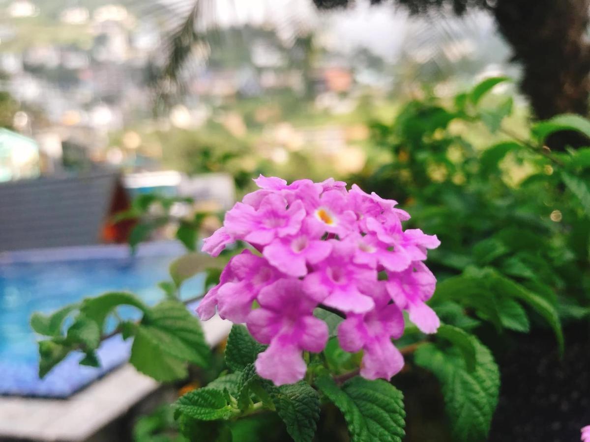 Nha Tren May - Homstay Tam Ðảo エクステリア 写真